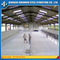 Construction Design Prefabricated Steel House Building Pig Farm